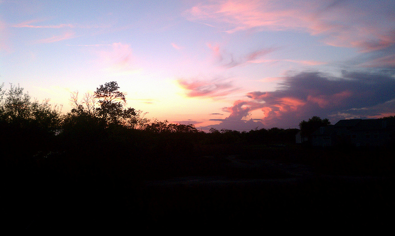 Camino a Casa  || Going Home