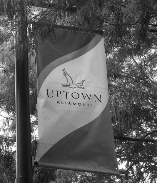 Walking around Altamonte Springs  | Caminando por Altamonte Springs