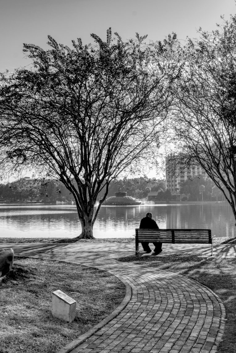 Lake Eola Park Views