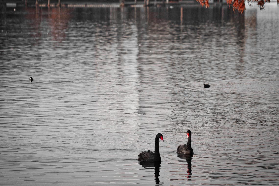 Lake Autumn Morning, me, digital photography, 2014