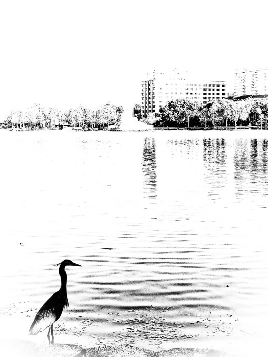 Black and White Photos I’ve Taken