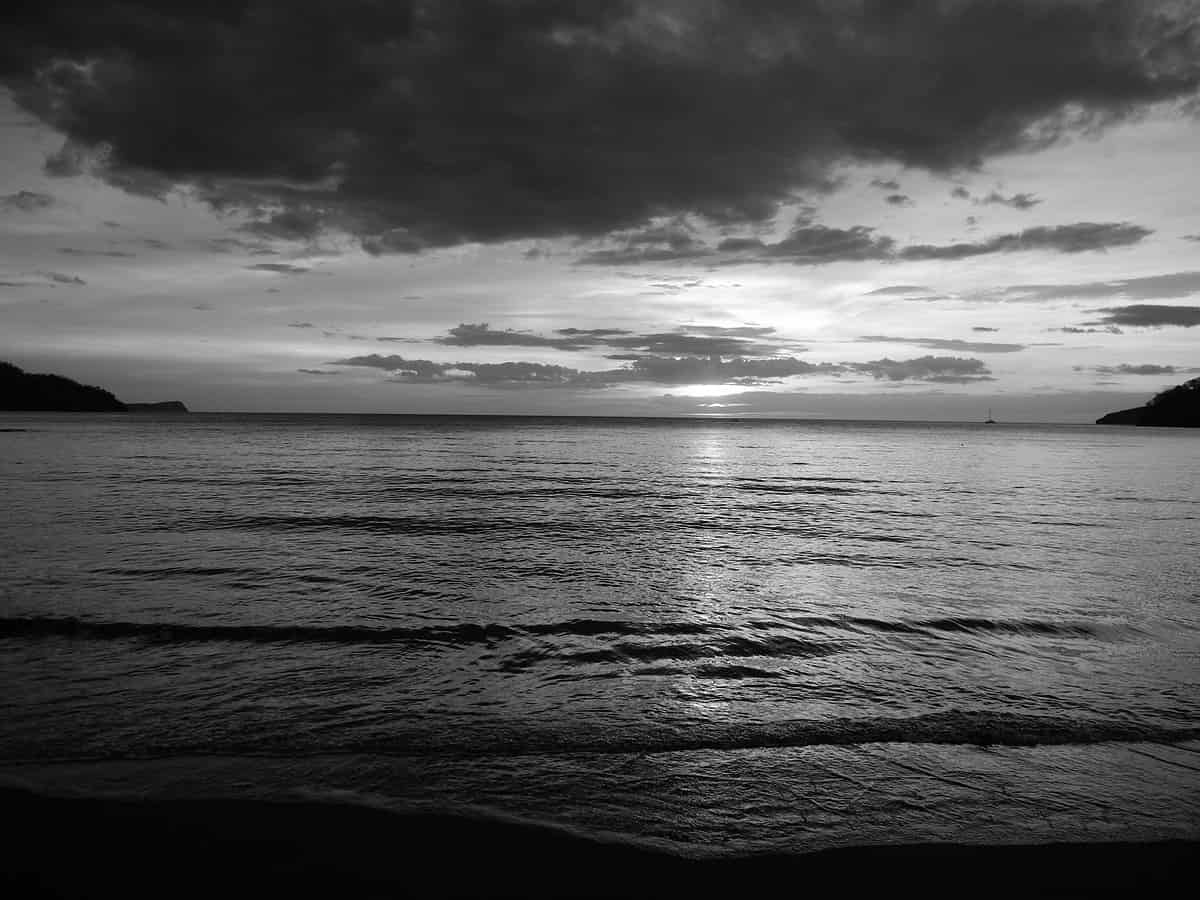 HOW CAN PHOTOGRAPHY BECOME CONTEMPORARY ART