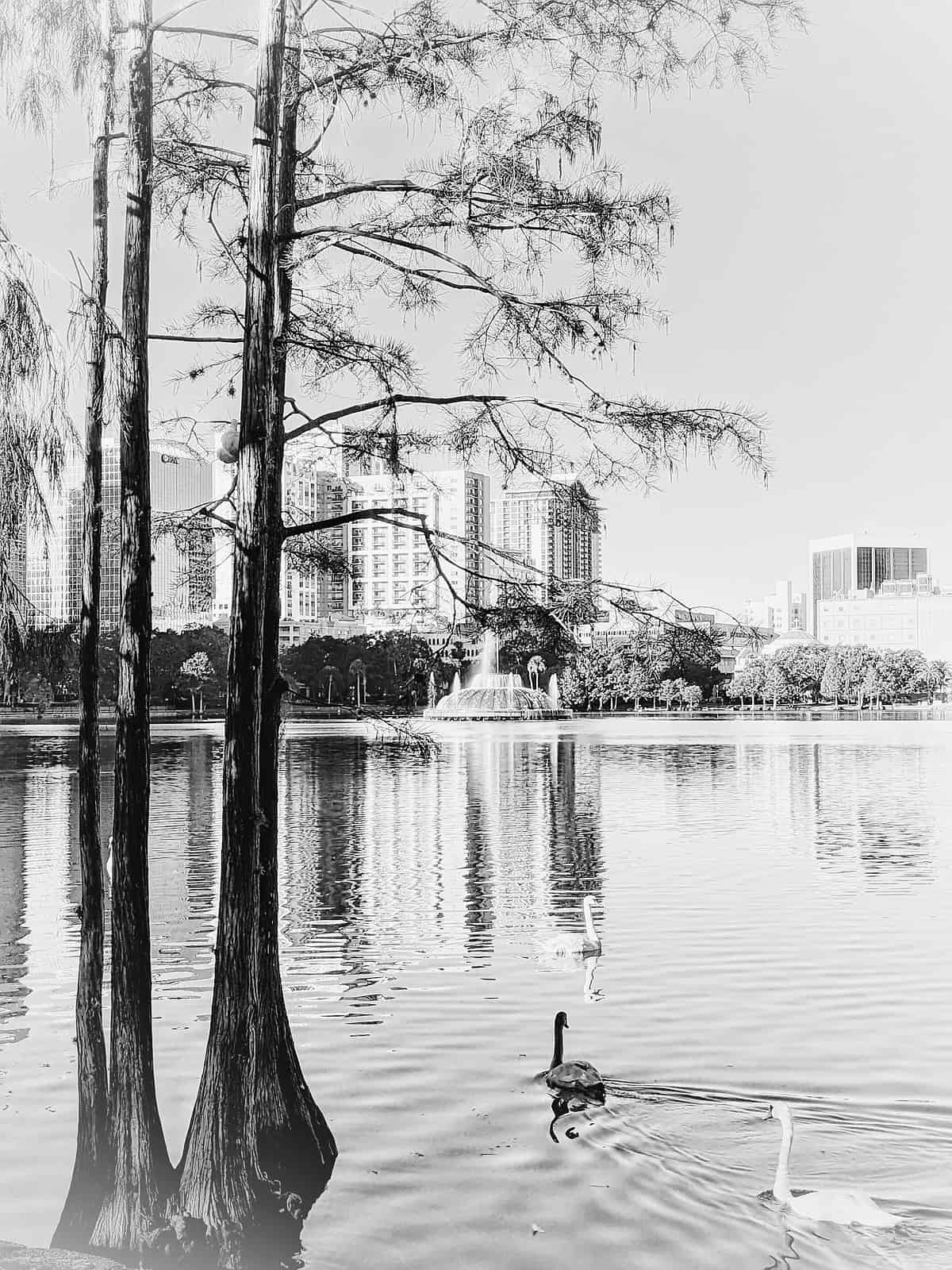 WALKING AROUND THE CITY BEAUTIFUL