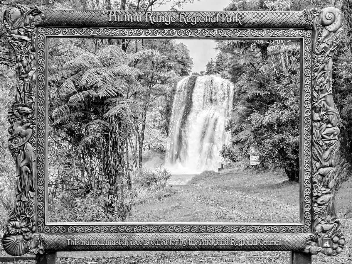 New Zealand: My First Trip EVER!