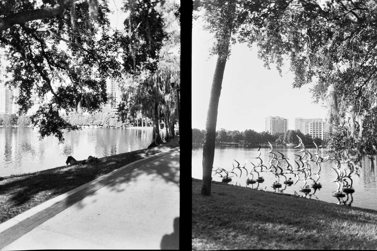 Lake Eola Park, Orlando, FL, Me, Film