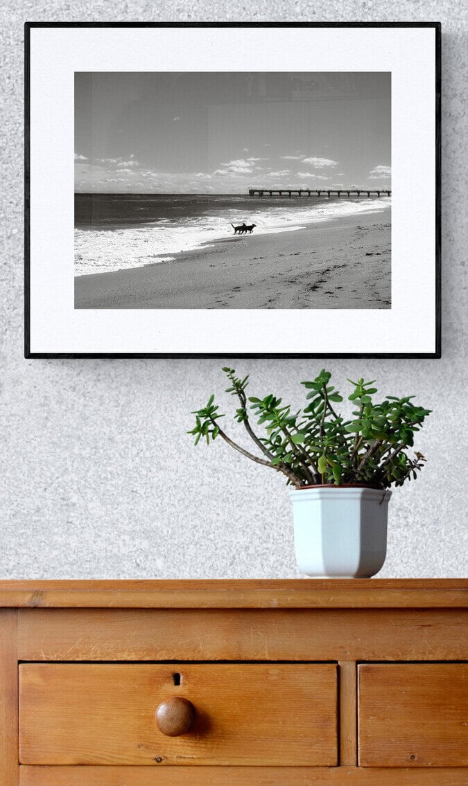 Playful Paws #BlackAndWhitePhotography #DogsOnTheBeach #FineArtAmerica