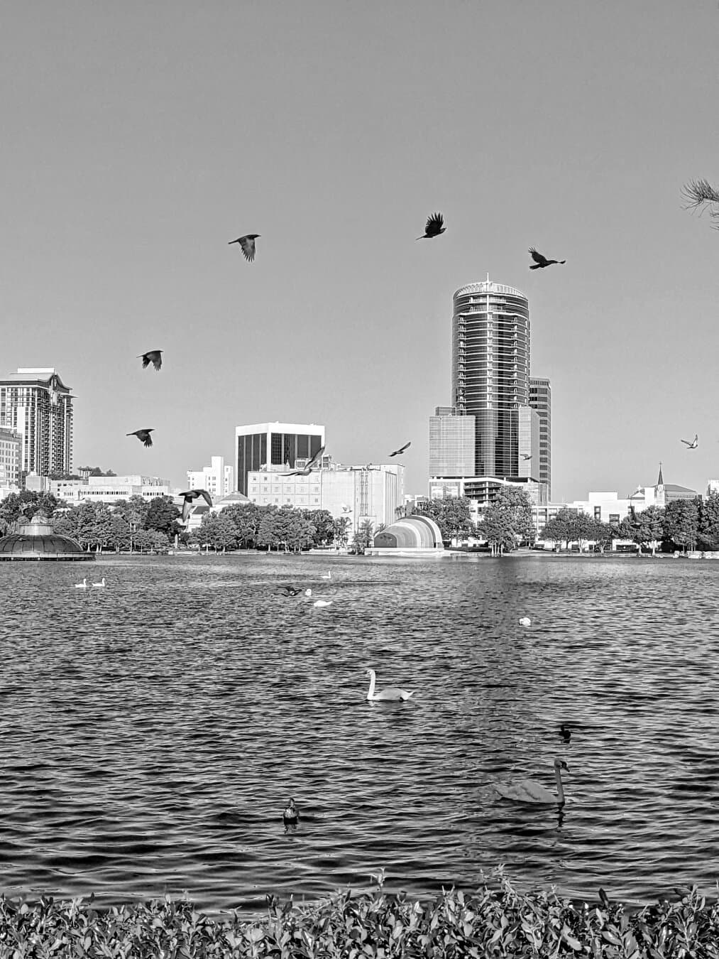 Lake Eola, Black & White, Orlando, Florida, Me, digital