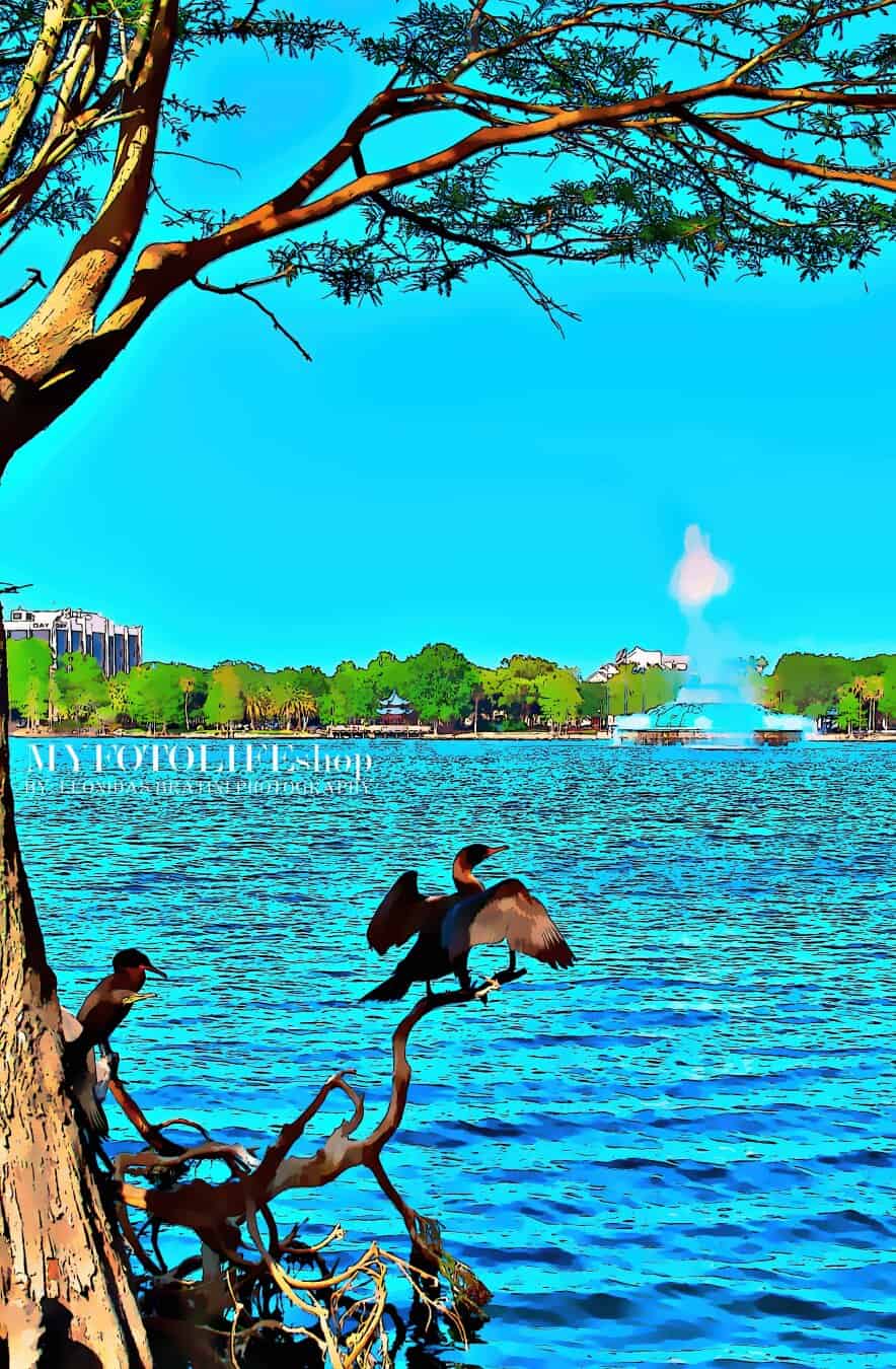 Bird Lake Fountain #FineArtPhotography #ArtForSale #FineArtPhotographer