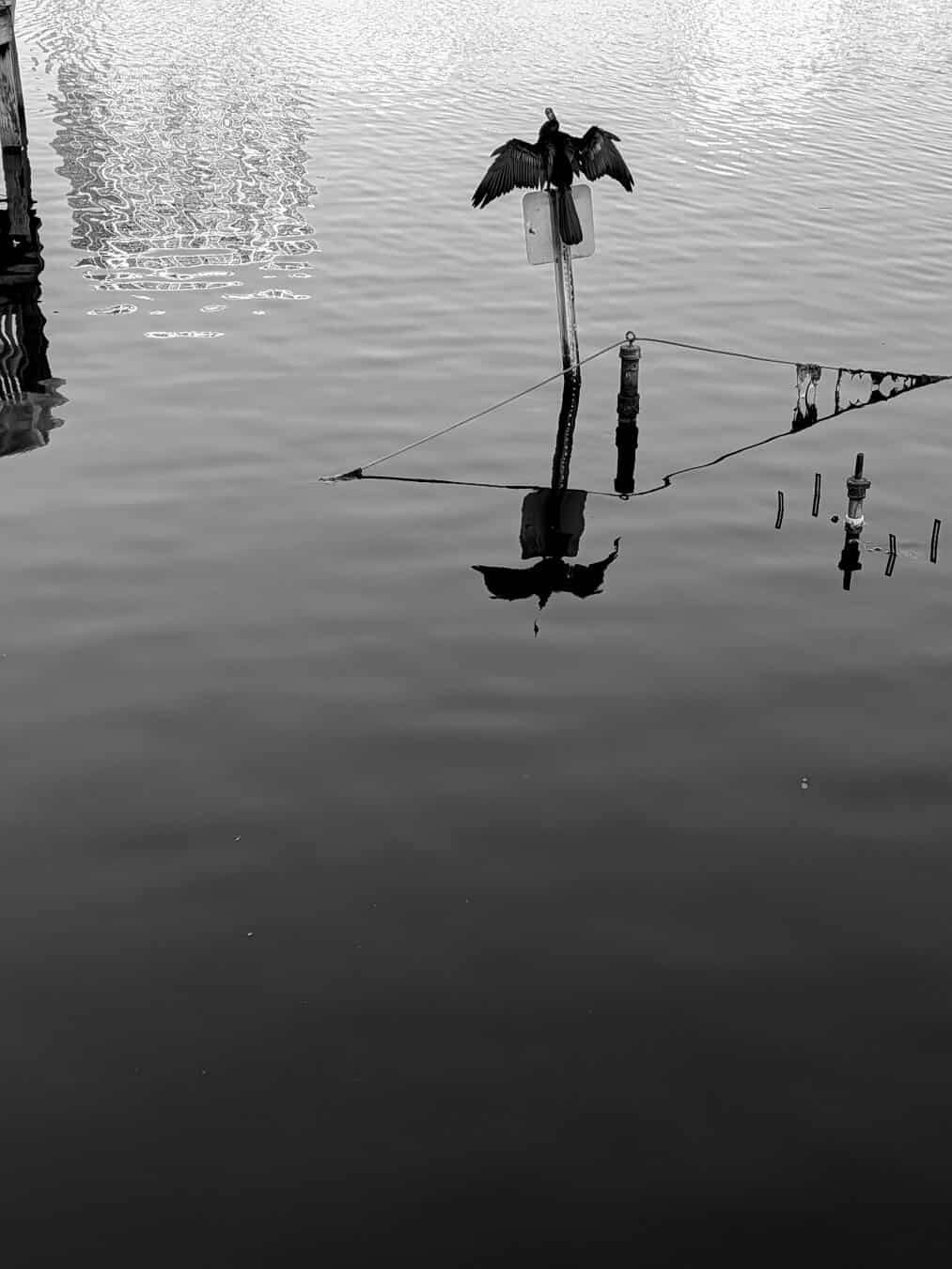 Lake Eola Park, Orlando FL, Me, #pixelteam