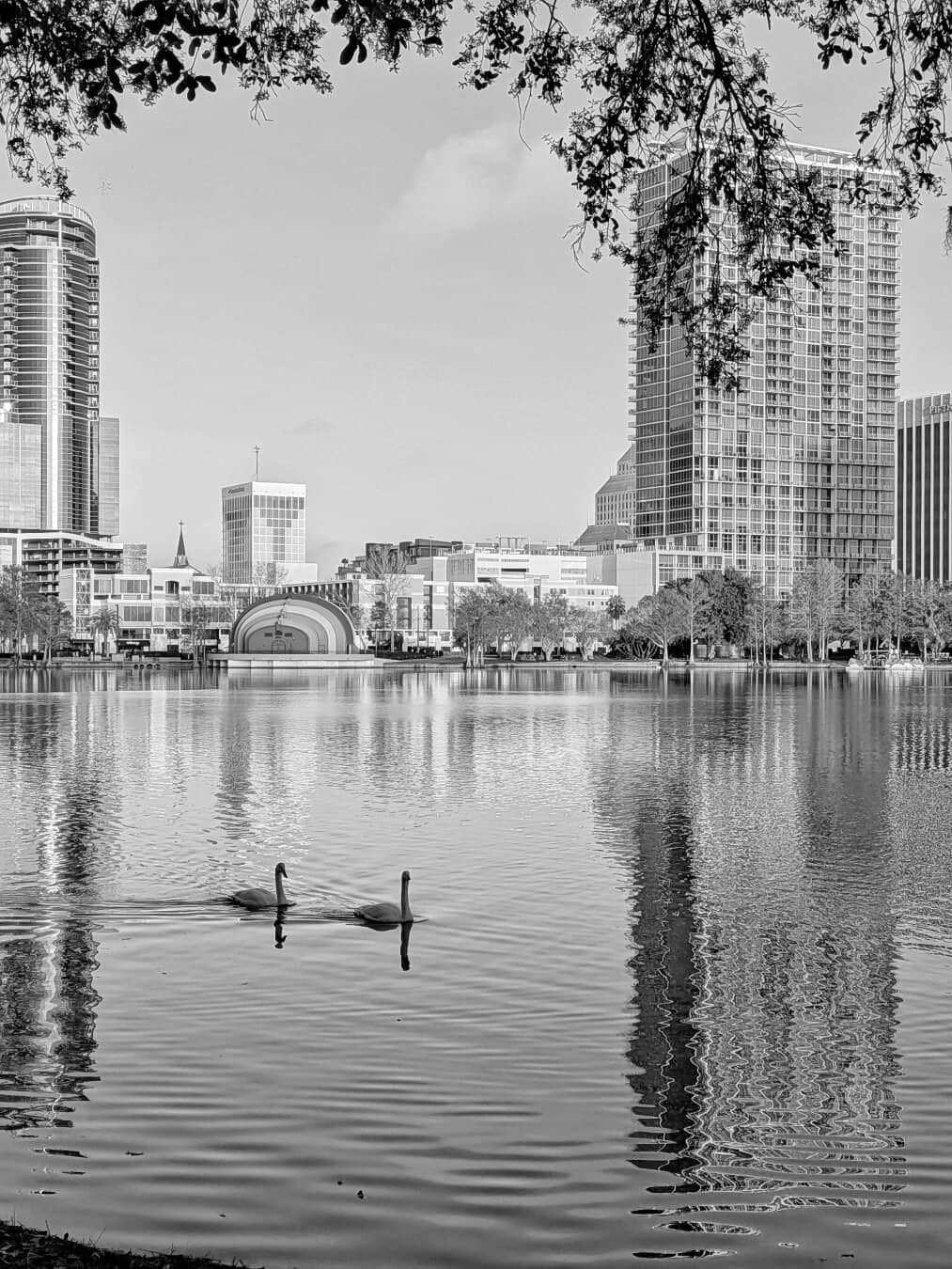 Black and White views of Lake Eola Park, Orlando, FL 2026