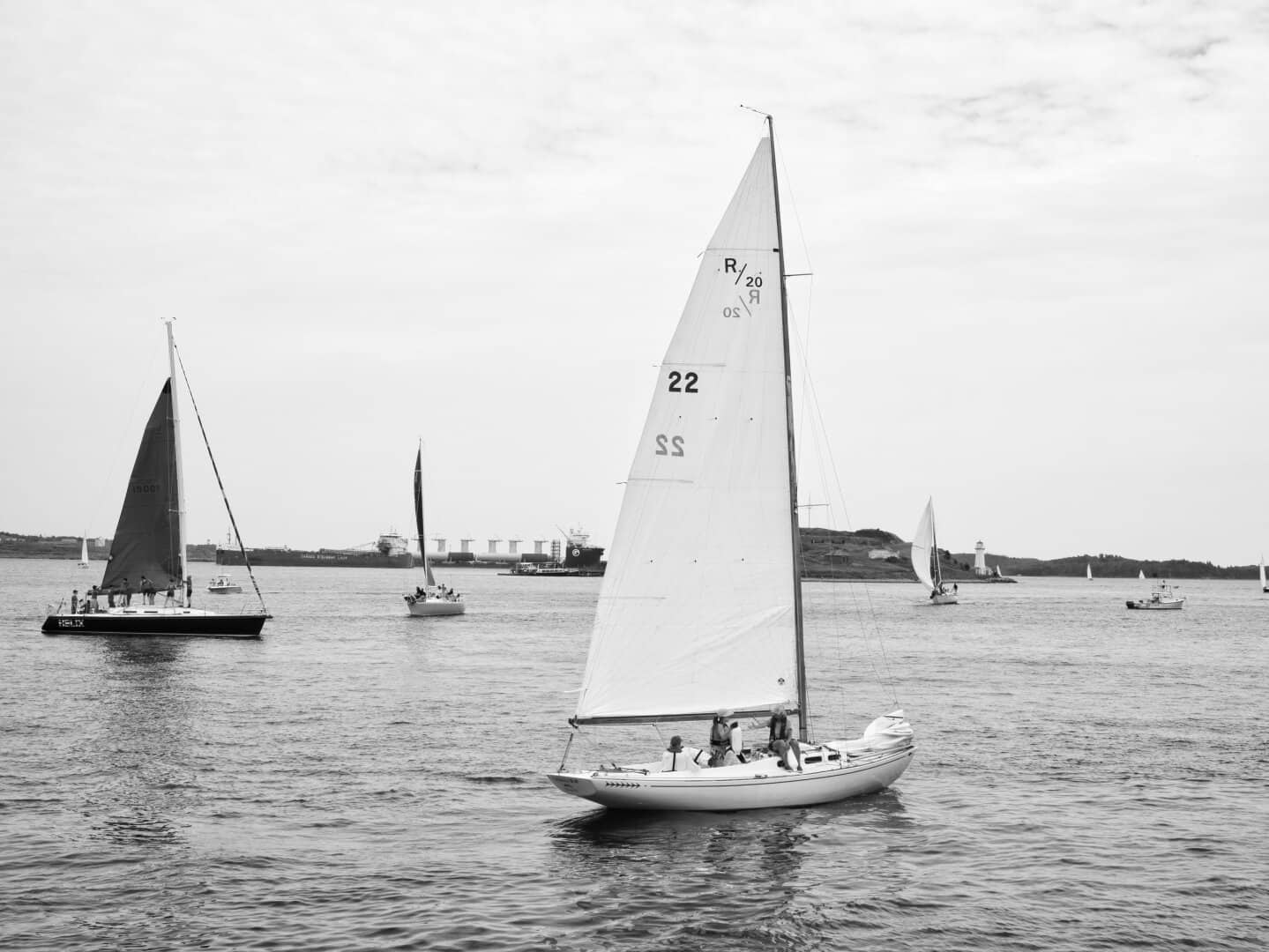 Sailboats in Calm Harbor Waters