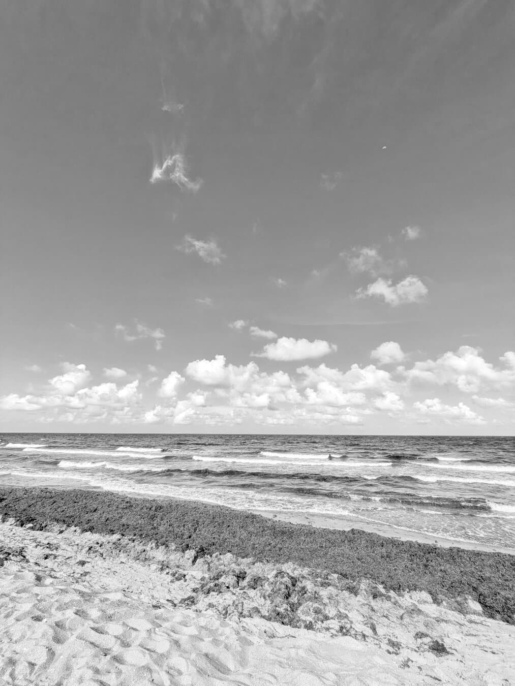 Beach Day, 2026, Florida